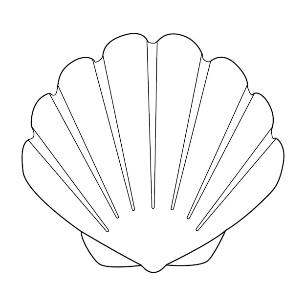 Página de colorear de arteterapia de conchas marinas en blanco y negro