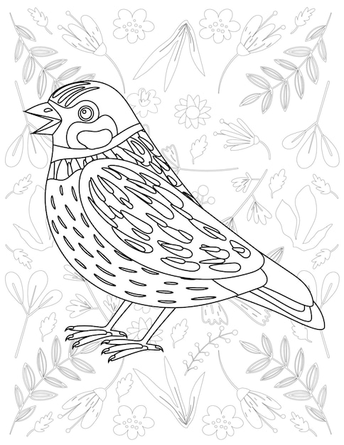 Página para colorear de aves, Vector de aves, Pájaro blanco y negro, Coloración de aves para niños