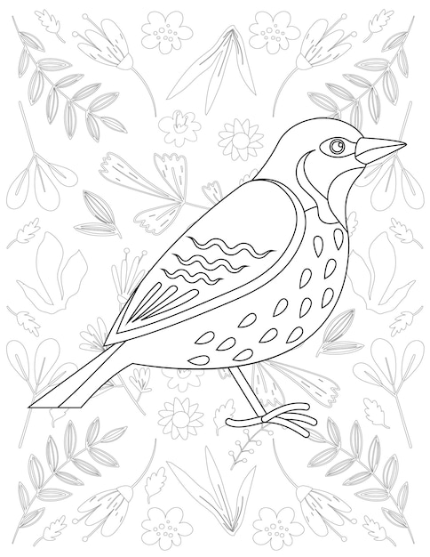 Página para colorear de aves, Vector de aves, Pájaro blanco y negro, Coloración de aves para niños