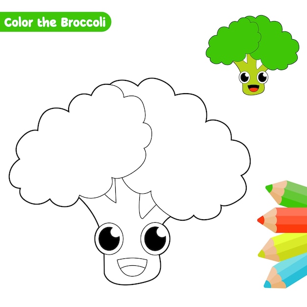 página de colorear brócoli para niños vector con boceto colorido