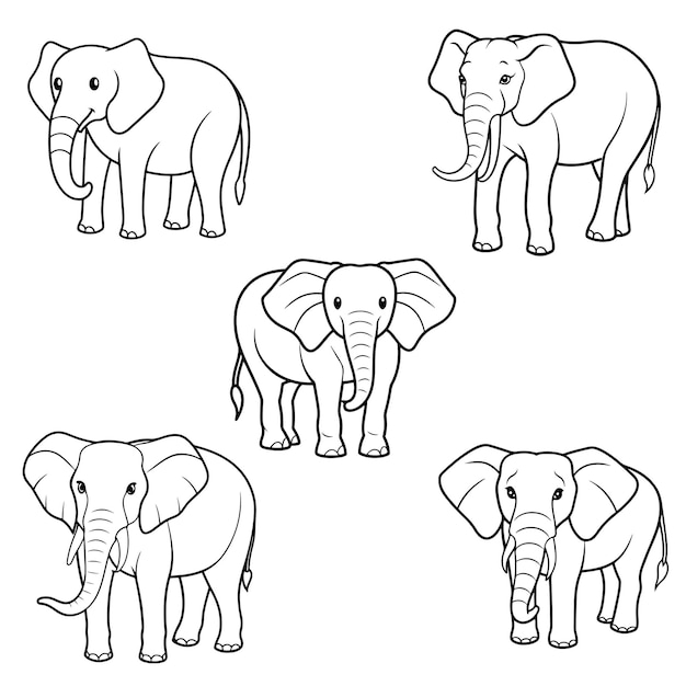 página de colorear cabeza de elefante diseño de mandala diseño de impresión diseño de camiseta