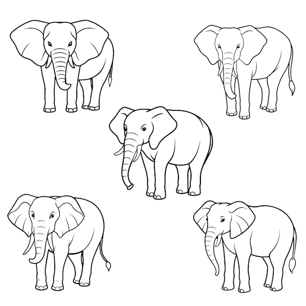 página de colorear cabeza de elefante diseño de mandala diseño de impresión diseño de camiseta