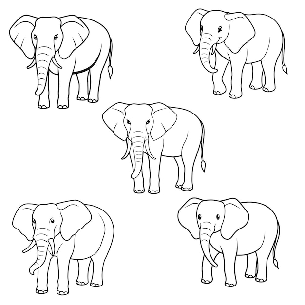 página de colorear cabeza de elefante diseño de mandala diseño de impresión diseño de camiseta