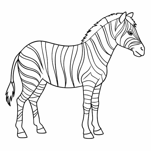 Página de colorear de la cebra Ilustración del contorno de los animales