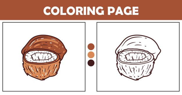 Página para colorear de coco para niños Ilustración vectorial