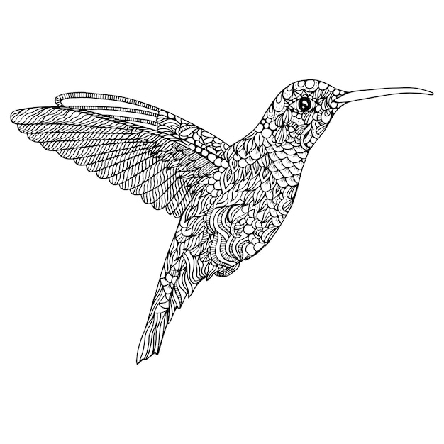 Página para colorear de colibrí dibujo a mano