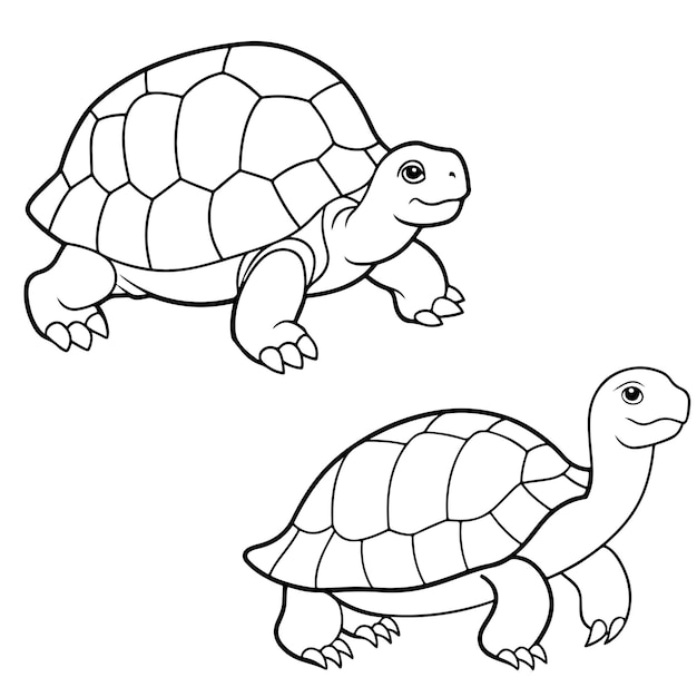 Página para colorear dibujada a mano por la tortuga de madera y diseño vectorial de contorno