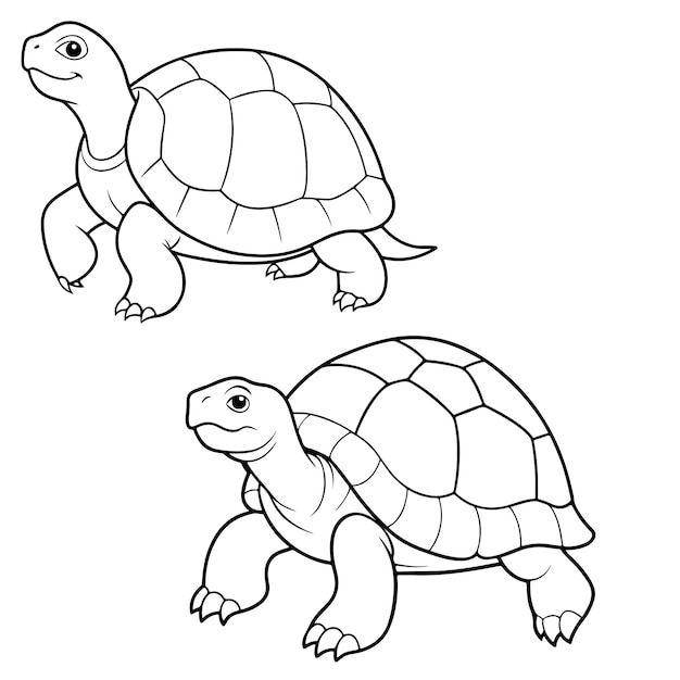 Página para colorear dibujada a mano por la tortuga de madera y diseño vectorial de contorno