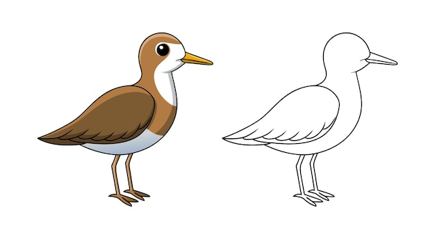Página de colorear de dibujos animados de pájaro de la orilla