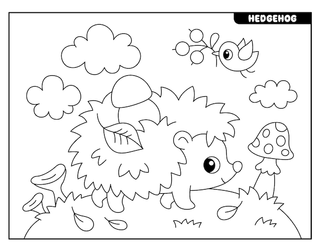 Página para colorear de erizo para niños