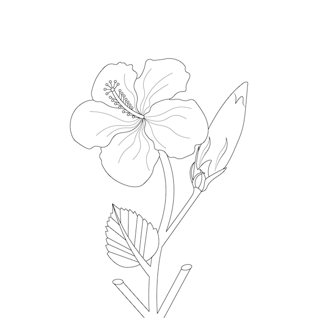 Página para colorear de flor de hibisco del bosquejo de flor de arte de línea de doodle de libro con gráfico vectorial