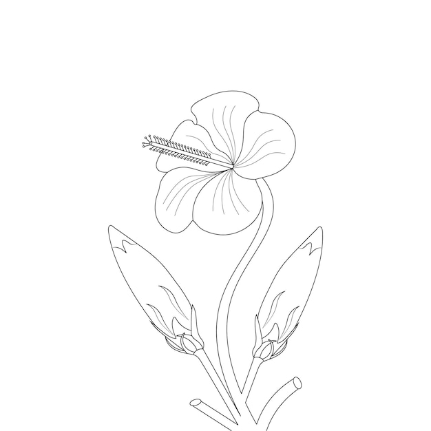 Página para colorear de flor de hibisco del bosquejo de flor de arte de línea de doodle de libro con gráfico vectorial
