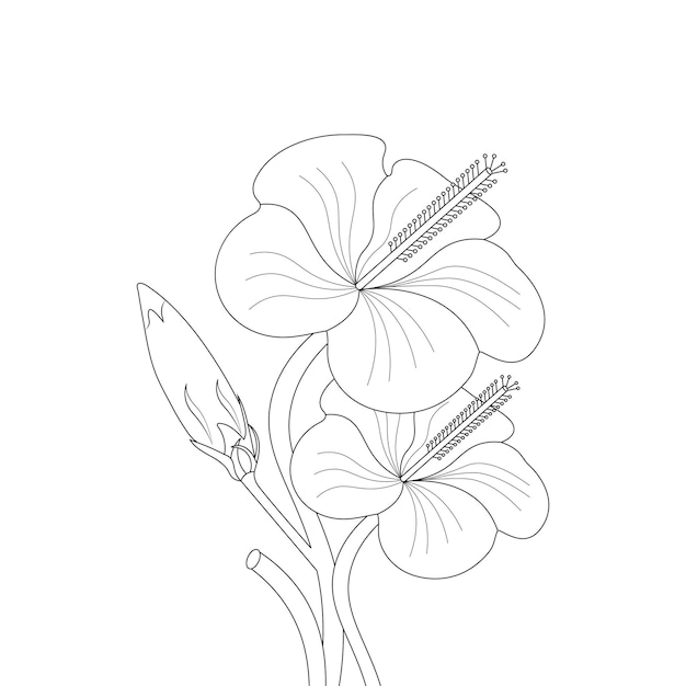 Vector página para colorear de flor de hibisco del bosquejo de flor de arte de línea de doodle de libro con gráfico vectorial