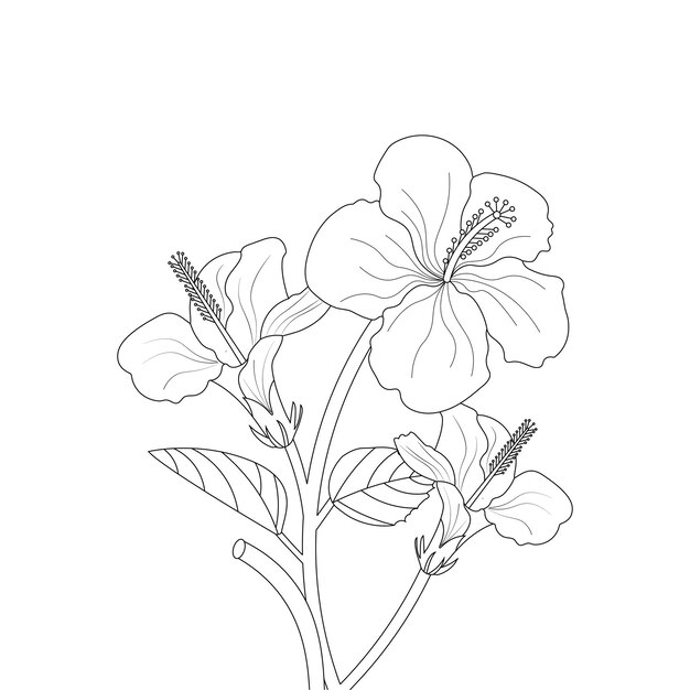 Página para colorear de flor de hibisco del bosquejo de flor de arte de línea de doodle de libro con gráfico vectorial