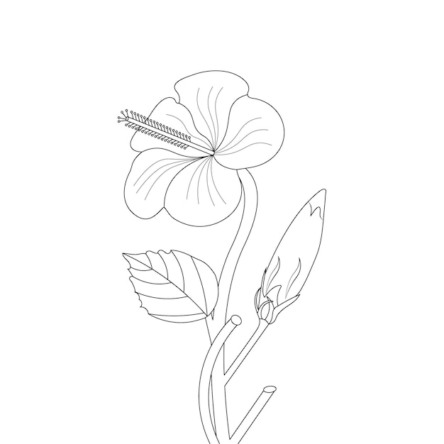 Página para colorear de flor de hibisco del bosquejo de flor de arte de línea de doodle de libro con gráfico vectorial