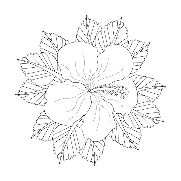 Página para colorear de flor de hibisco con ilustración de vector de dibujo de flor de arte lineal