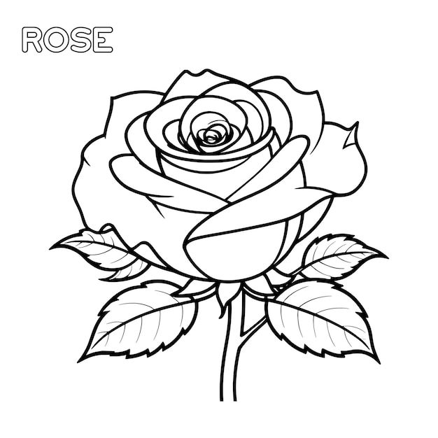 Página para colorear flor de rosa y diseño vectorial de contorno