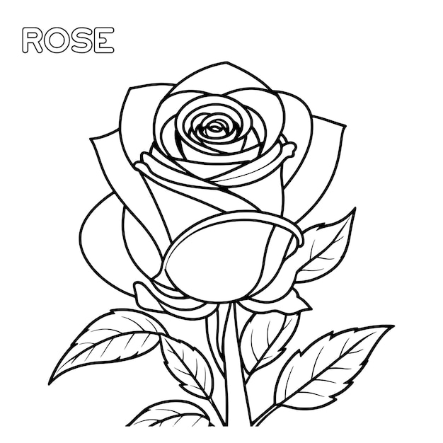 Página para colorear flor de rosa y diseño vectorial de contorno