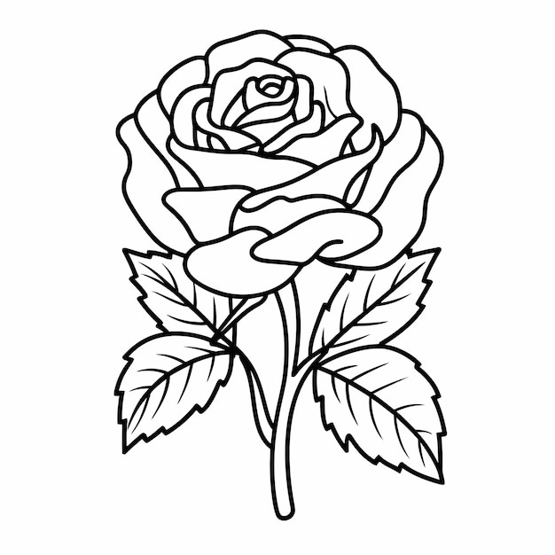 Página para colorear de la flor de la rosa.