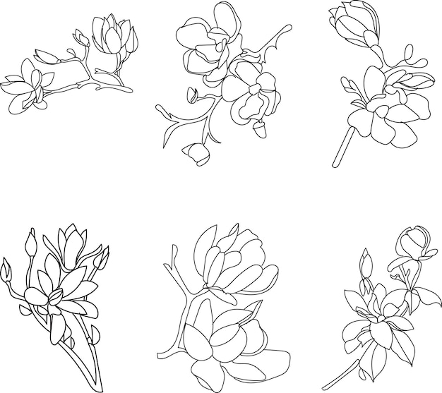 Página para colorear flores con hojas Página vectorial para colorear