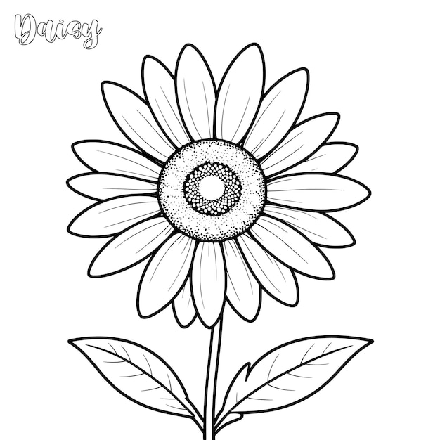 Página para colorear flores de margarita y vector de contorno