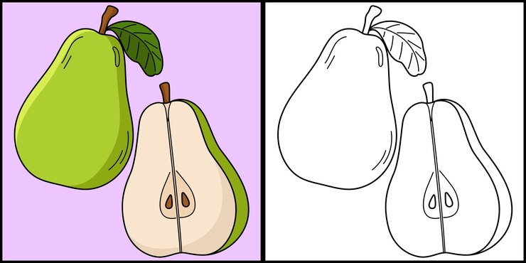 Vector página para colorear de frutas de pera ilustración coloreada