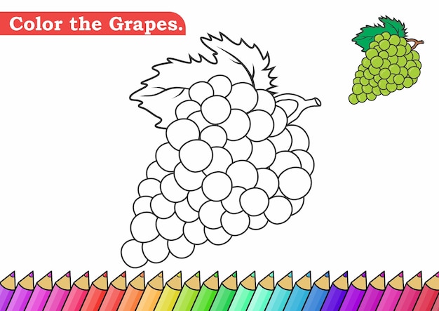 Página para colorear para ilustración de vector de uvas Hoja de trabajo de actividad de páginas para colorear de jardín de infantes