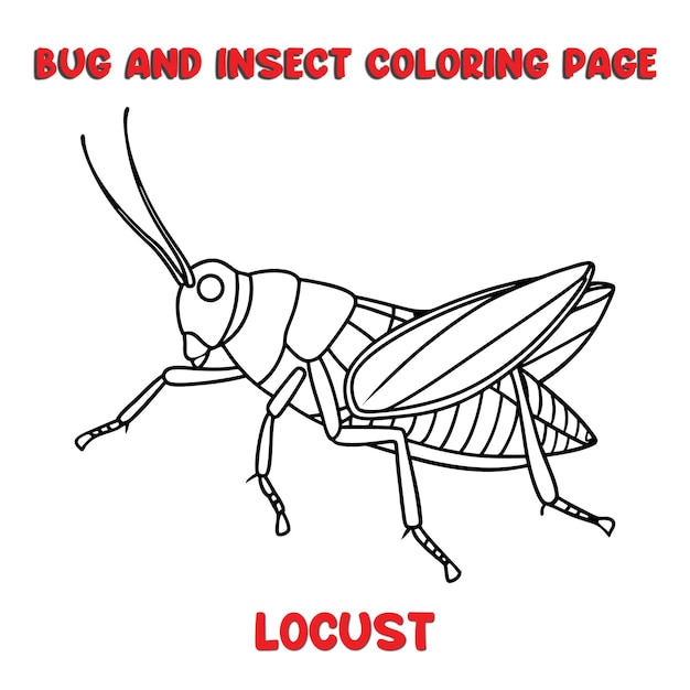 Página para colorear LOCUST para un libro para niños para colorear insectos