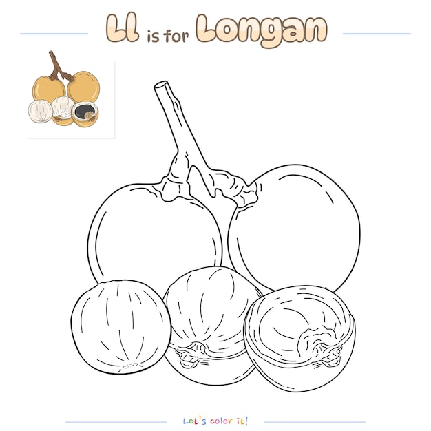 Página para colorear Longan