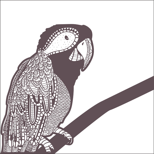 Página para colorear de loros decorativos y libro para colorear para adultos y NIÑOS