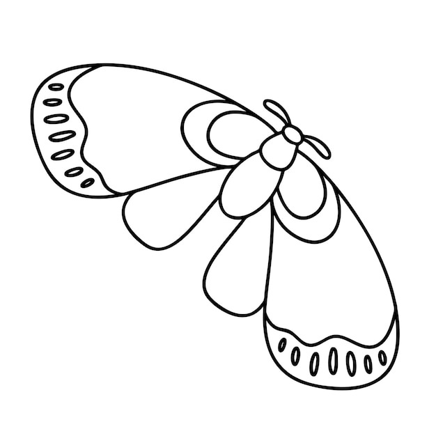 Página para colorear mariposa nocturna ilustración de contorno vectorial