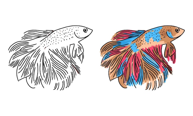 Página para colorear de peces betta dibujados a mano para niños