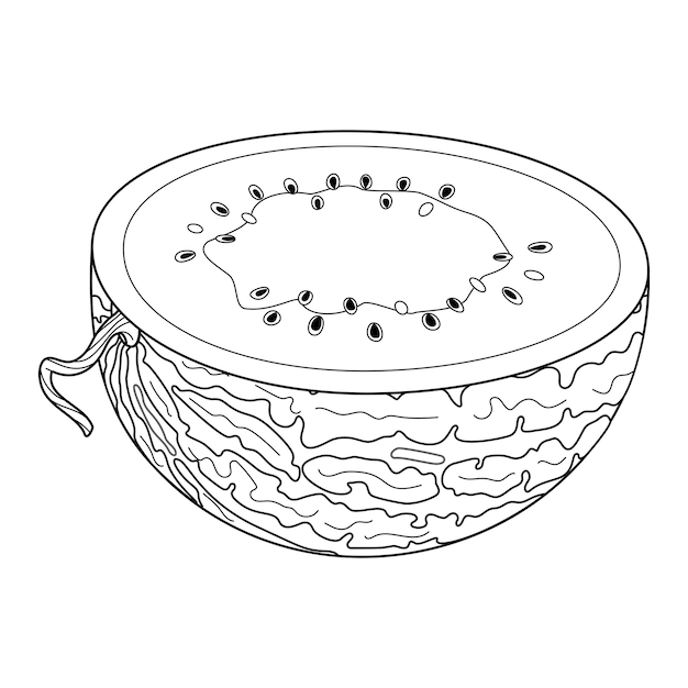 Página de colorear de sandía madura cortada dibujada en estilo doodle mitad de sandía