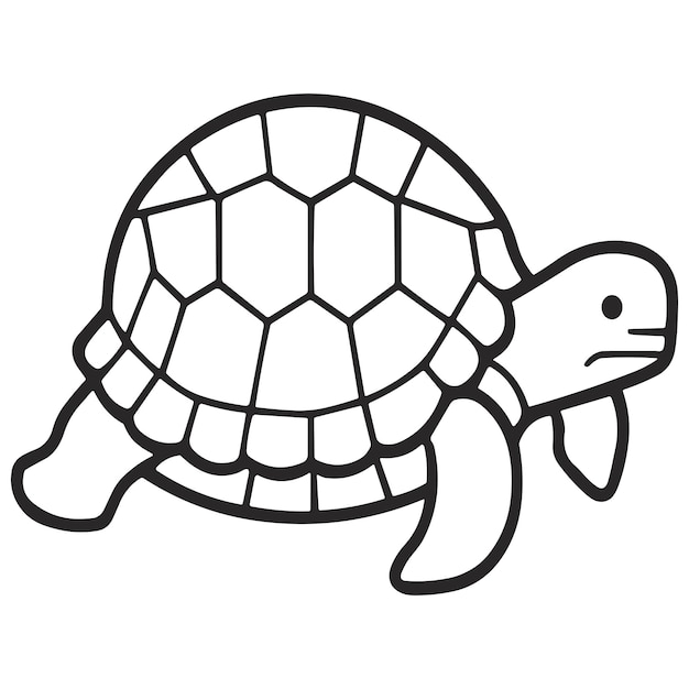 Página para colorear de tortuga con una tortuga