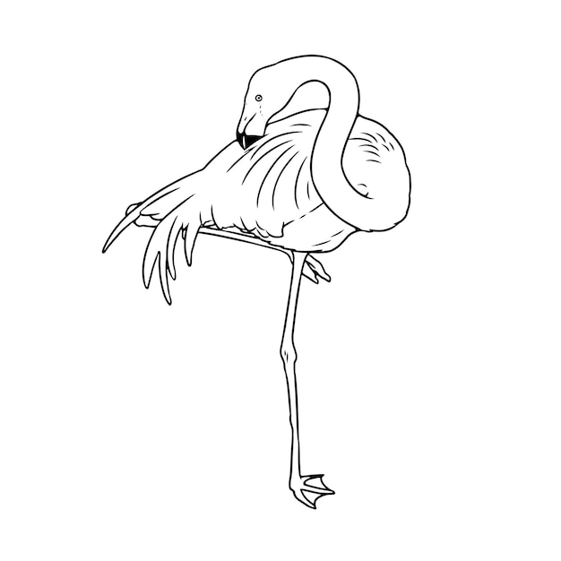 Página de colorear vectorial en blanco y negro de un flamenco