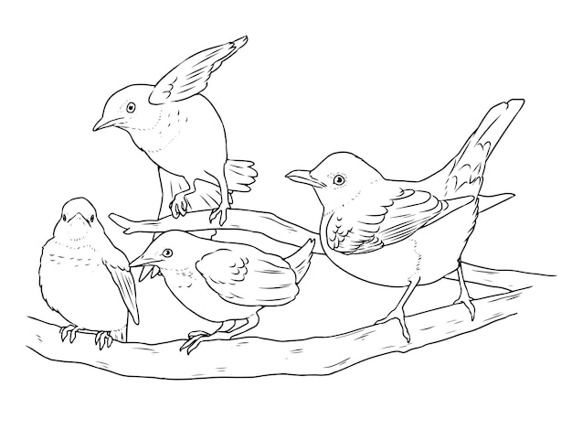 Página de colorear vectorial en blanco y negro de un pájaro petirrojo enseñando a sus polluelos a volar