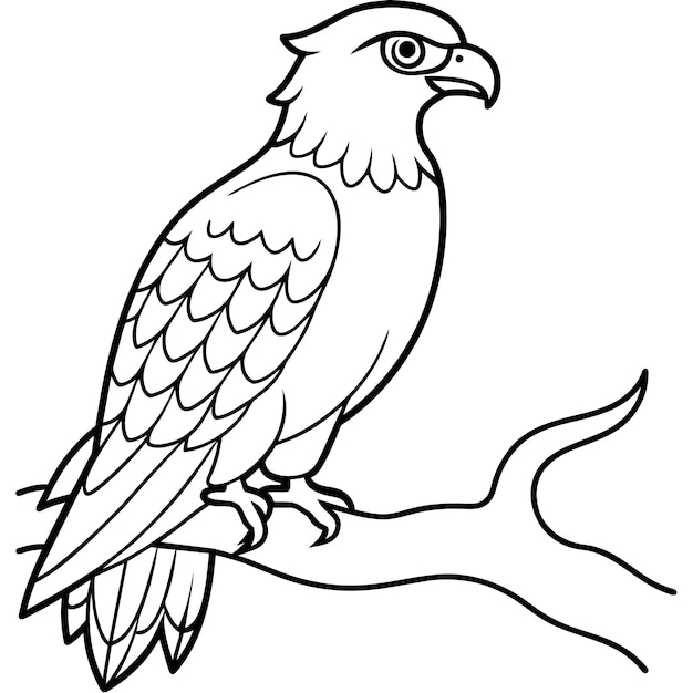página de libro de arte vectorial ilustración de fondo blanco sólido 20