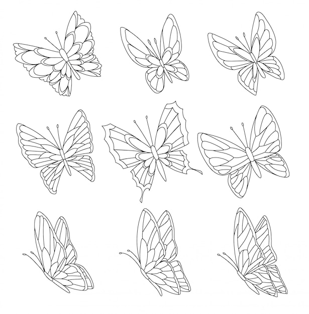 Página de libro para colorear de mariposas aisladas en blanco