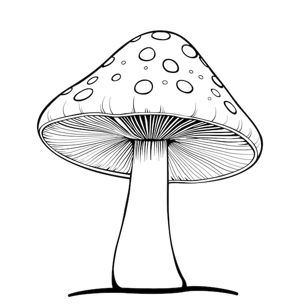 páginas para colorear agaric de mosca de hongo