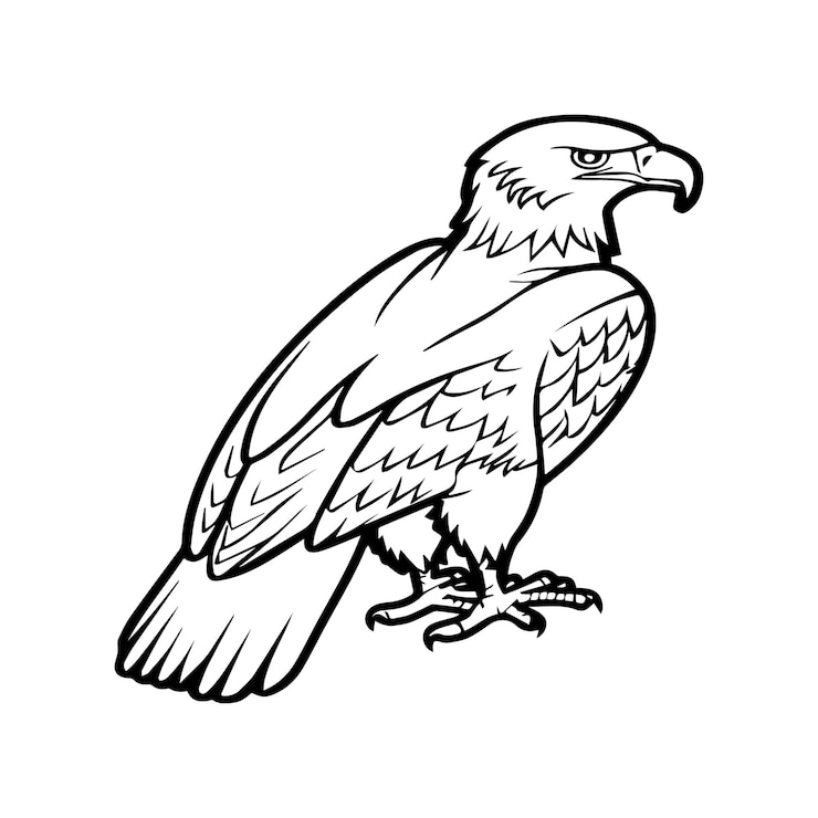 Vector páginas para colorear águila vector de contorno de pájaro águila para libro para colorear