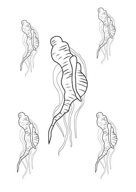 Páginas para colorear de dibujos animados de comida tradicional de ginseng de raíz de jengibre para niños y adultos