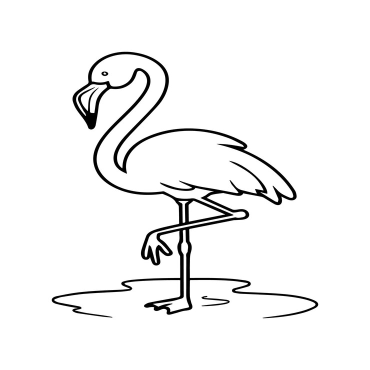 Vector páginas para colorear flamingo vector de contorno de flamingo para el libro para colorear
