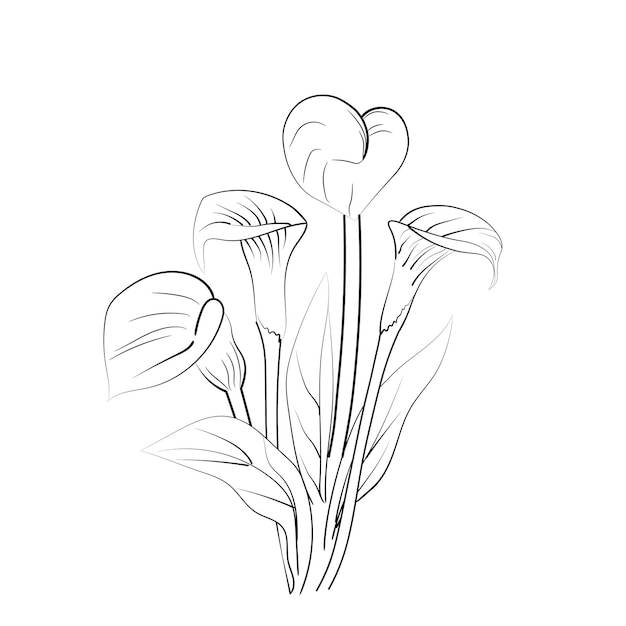 Páginas para colorear flores detalladas boceto contorno ramo de flores de calla boceto de flores de iris dibujo
