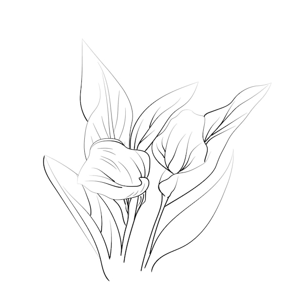 Páginas para colorear flores únicas Ilustración vectorial dibujada a mano de una variedad de flores de calla de jardín