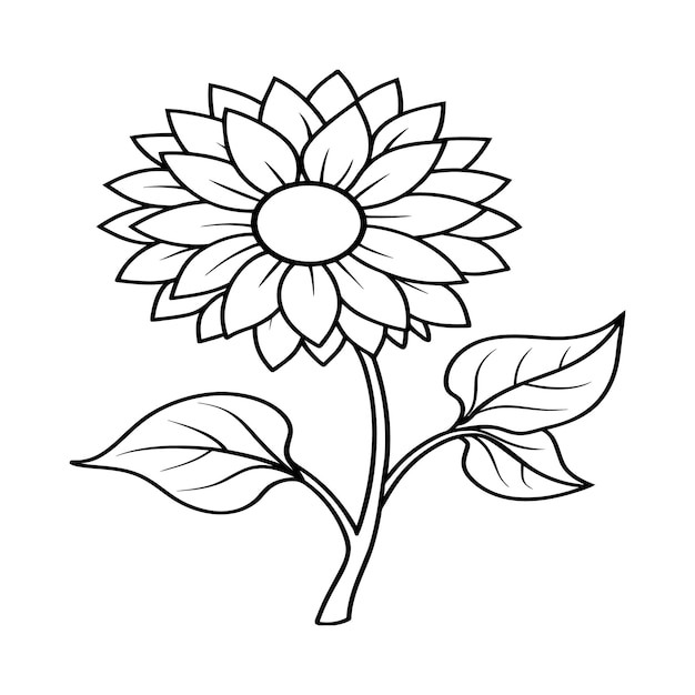 Páginas para colorear girasol Contorno de girasol Arte de línea floral para libro de colorear