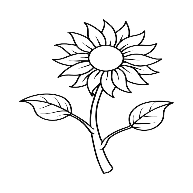 Páginas para colorear girasol Contorno de girasol Arte de línea floral para libro de colorear
