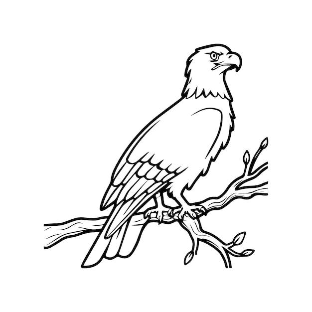 Páginas para colorear Águila Vector de contorno de pájaro Águila para libro para colorear