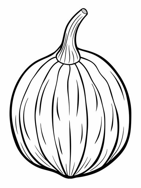 Páginas para colorear libros de calabaza de invierno para niños y adultos con diseño vectorial
