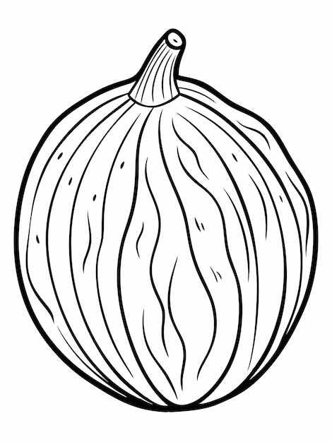 Páginas para colorear libros de espagueti squash para niños y adultos con diseño vectorial