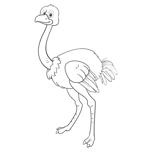 Vector páginas para colorear o libros para niños lindos dibujos animados de avestruz en blanco y negro
